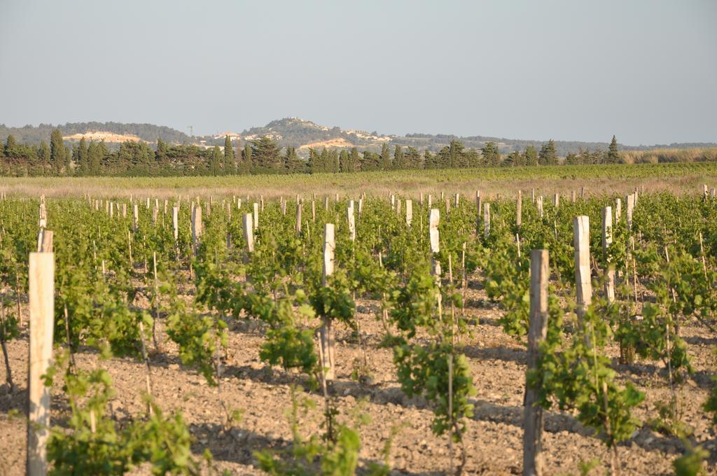 Les Fenals Vila Fitou Exterior foto