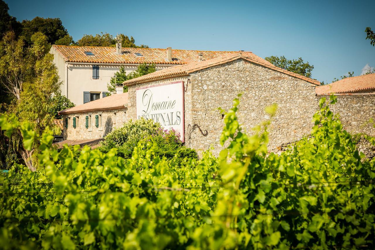 Les Fenals Vila Fitou Exterior foto